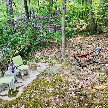 Modern Cabin With Hot Tub Grill Lake Beach Wineries Hiking Fishing And Hershey Park Family And Pet Friendly Superhosts On Ab&B Mount Gretna Ngoại thất bức ảnh